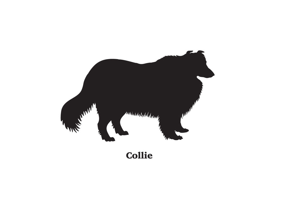 Clip Art Black Silhouette of Collie Dog | Dog Clip Art Pictures and Images