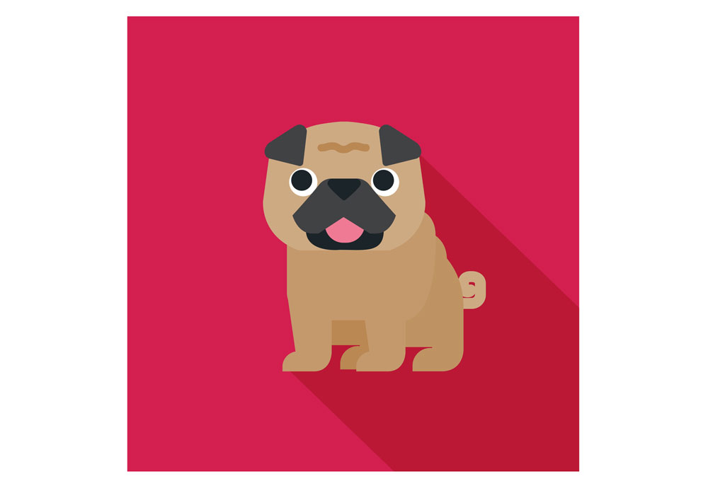 Clip Art Icon of Pug Dog on Pink Background | Dog Clip Art Pictures