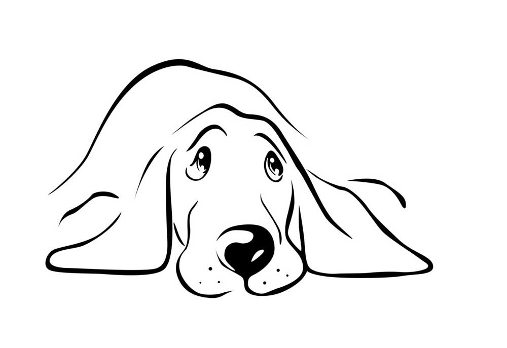 Clip Art Drawing of Sad Dog Face | Dog Clip Art Images