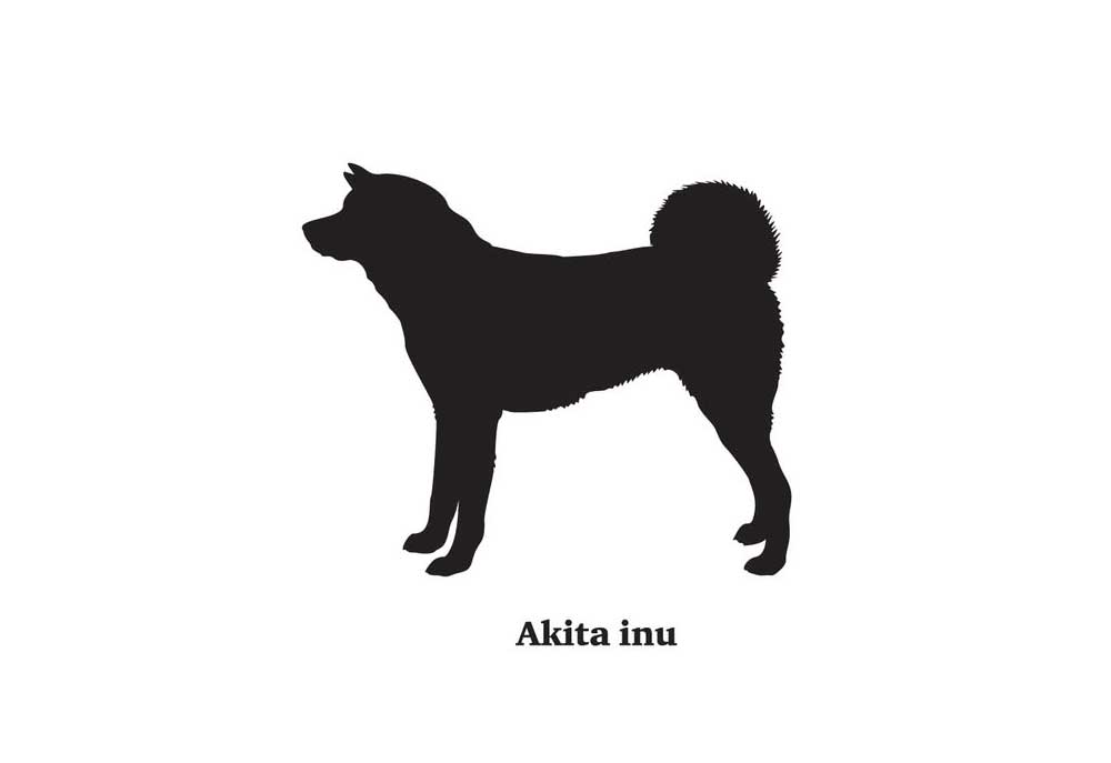Clip Art Silhouette of Akita Inu Dog | Dog Clip Art