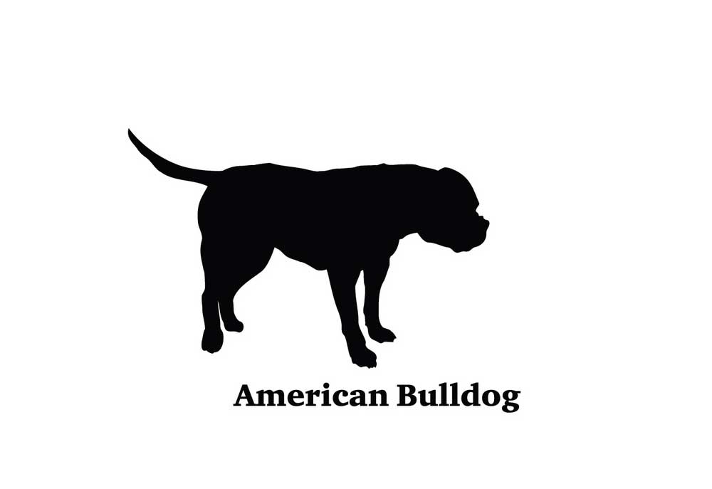 Silhouette of an American Bulldog | Clip Art of Dogs