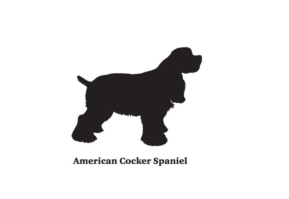 Silhouette of American Cocker Spaniel | Dog Pictures Images