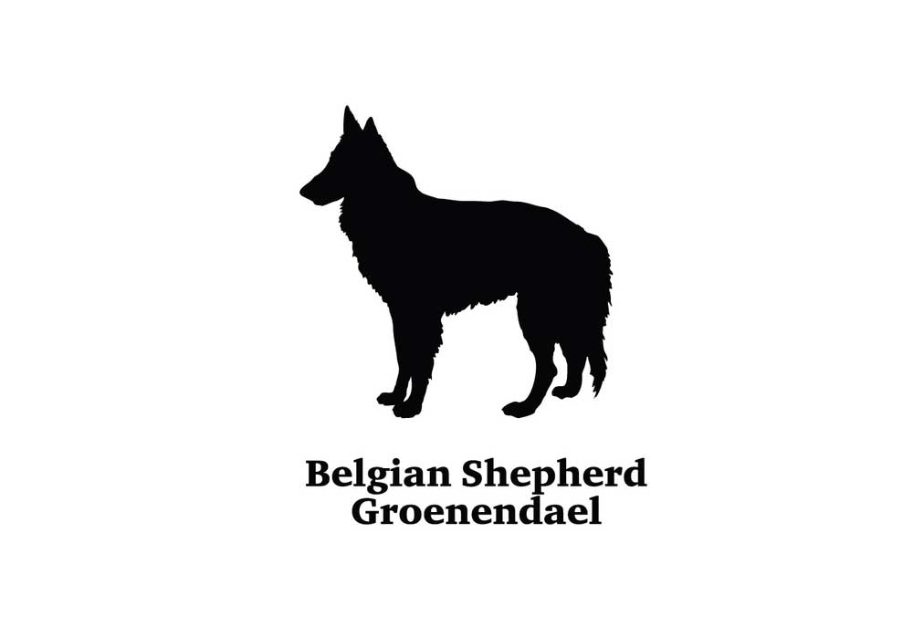 Belgian Shepherd Groenendael Dog Silhouette | Clip Art of Dogs