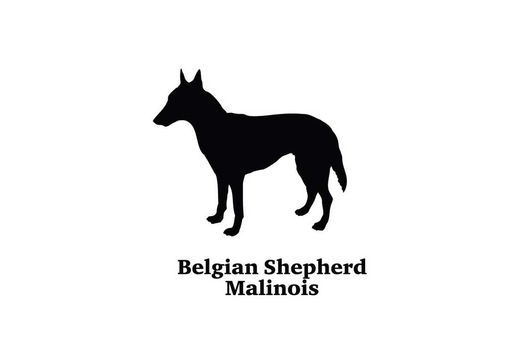 Clip Art Silhouette of Belgian Shepherd Malinois Dog | Dog Clip Art