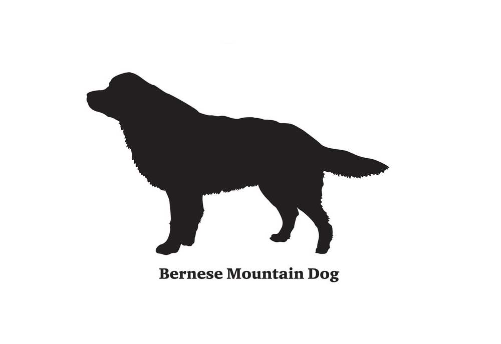 Silhouette of Bernese Mountain Dog | Clip Art of Dogs