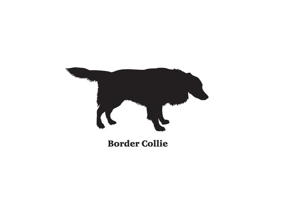 Clip Art Border Collie Dog in Silhouette | Dog Clip Art Pictures
