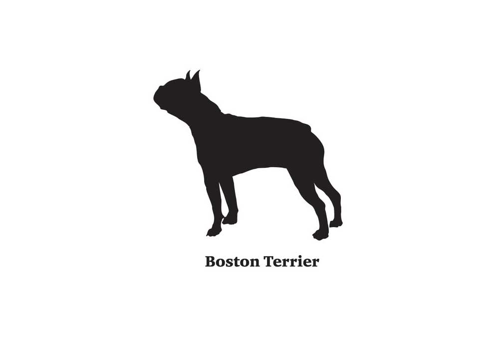 Clip Art Silhouette of a Boston Terrier Dog | Dog Clip Art Pictures