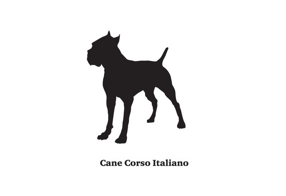 Cane Corso Italiano Dog Silhouette | Dog Clip Art Images
