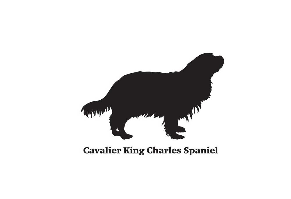 Clip Art Cavalier King Charles Spaniel | Dog Clip Art Images