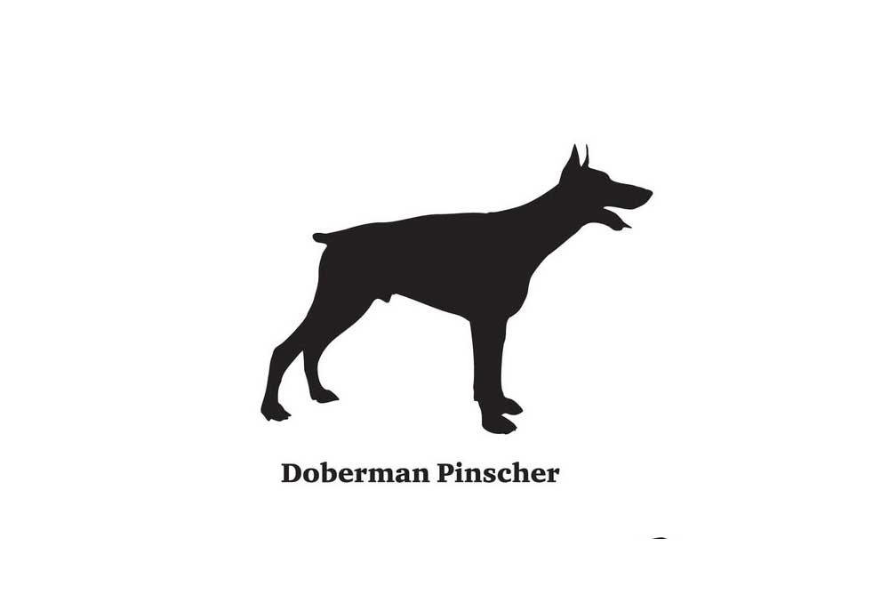 Doberman Pinscher Dog Clip Art Silhouette | Clip Art of Dogs