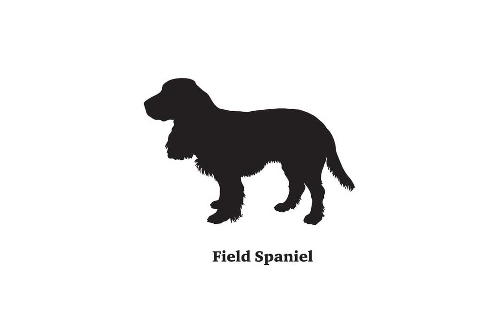 Clip Art of Field Spaniel Dog | Dog Clip Art Images