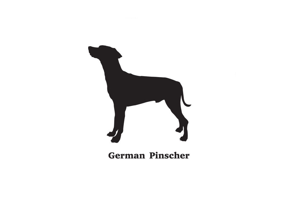Clip Art Silhouette of German Pinscher Dog Breed | Dog Clip Art