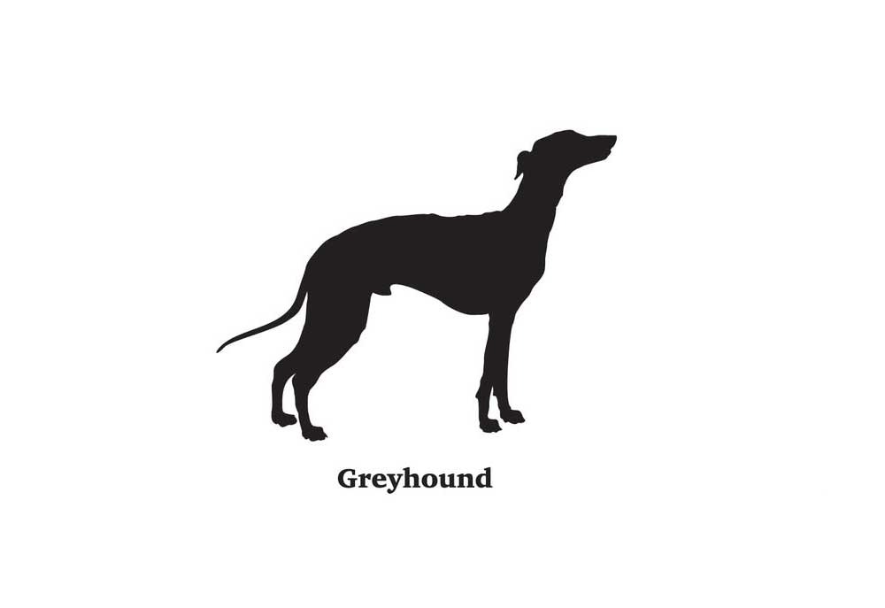Clip Art Picture of Greyhound Dog Silhouette | Dog Clip Art Pictures Images