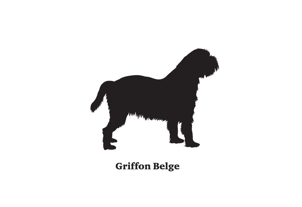 Silhouette of Griffon Belge Dog | Dog Clip Art Images