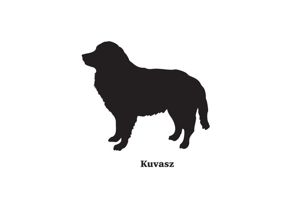 Clip Art Silhouette of Kuvasz Dog | Dog Clip Art Images