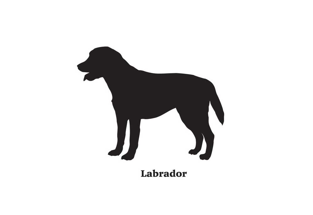 A Labrador Dog in Silhouette | Dog Clip Art Pictures and Images