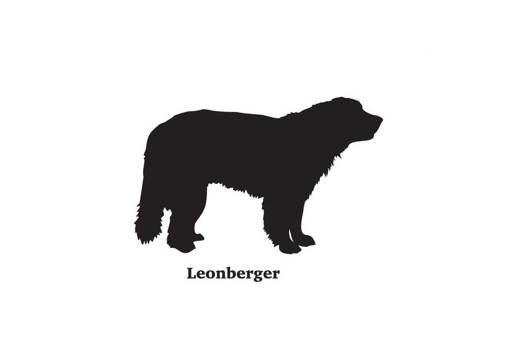 Silhouette of a Leonberger Dog Breed | Clip Art of Dogs