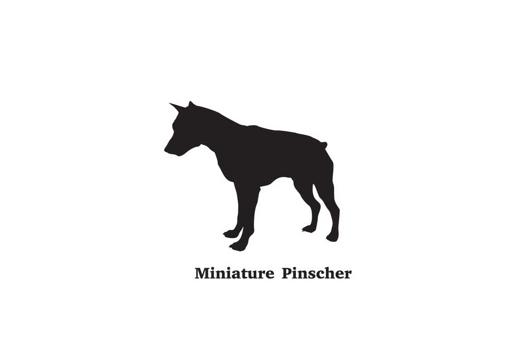 Clip Art of Miniature Pinscher Dog | Dog Clip Art Silhouettes
