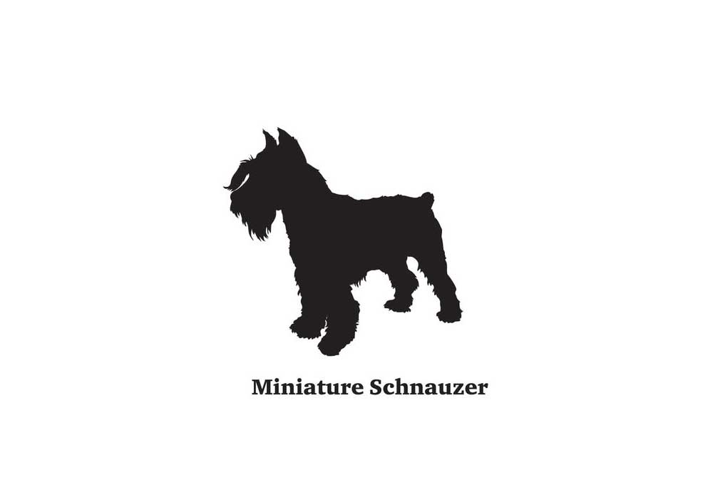 Miniature Schnauzer Clip Art Silhouette | Clip Art of Dogs