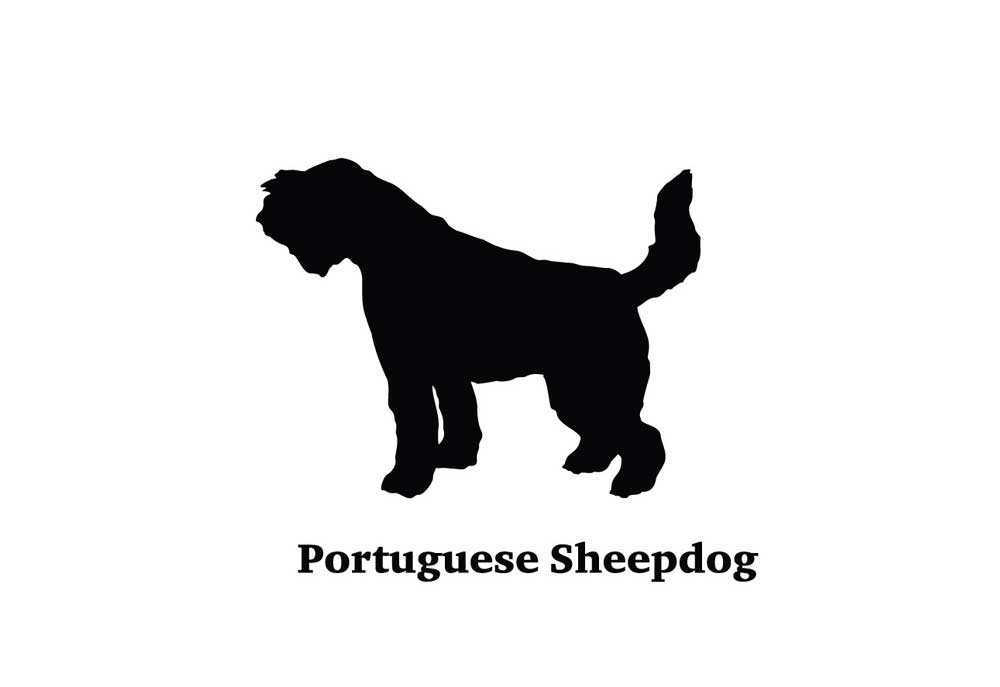 Silhouette of a Portuguese Sheepdog | Clip Art of Dogs