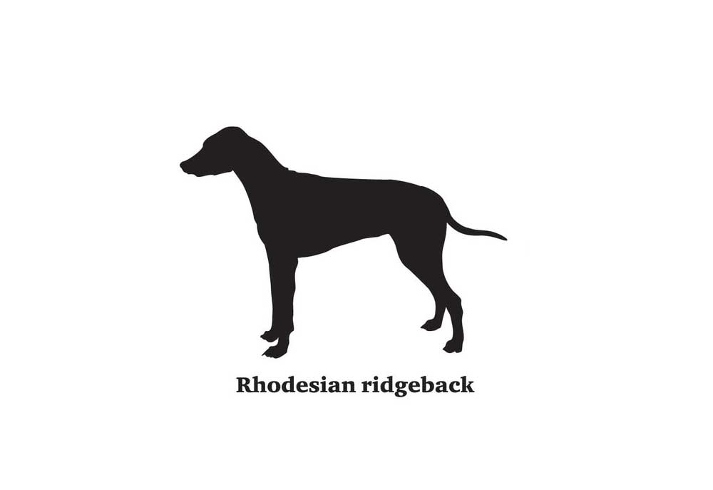 Clip Art Silhouette of Rhodesian Ridgeback Dog | Dog Clip Art