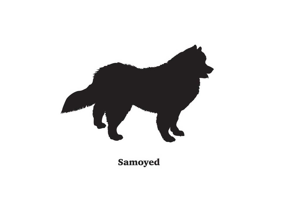 Clip Art Silhouette of Samoyed Dog | Dog Pictures Images
