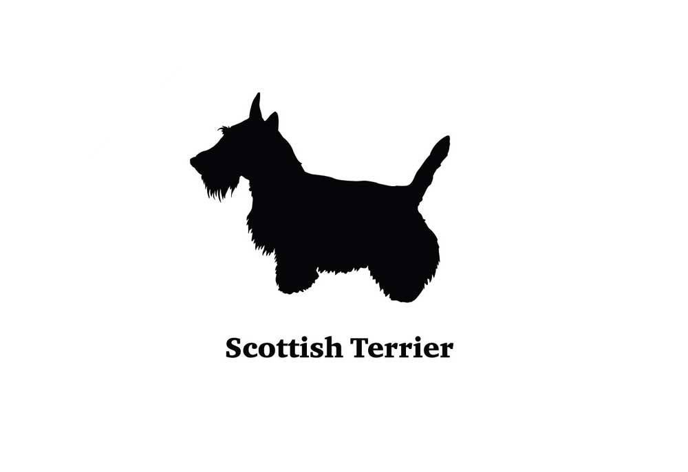 Clip Art Silhouette of Scottish Terrier Dog | Dog Clip Art