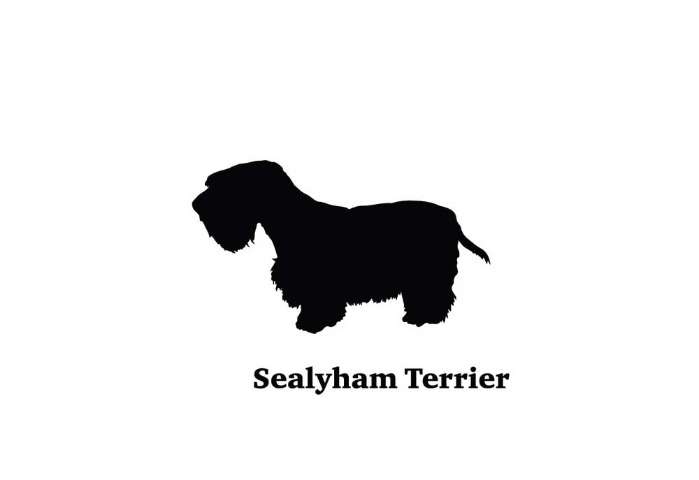 Silhouette of Sealyham Terrier Dog Breed | Clip Art of Dogs