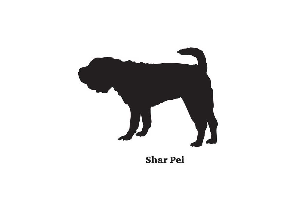 Silhouette of Shar Pei Dog Breed | Clip Art of Dogs