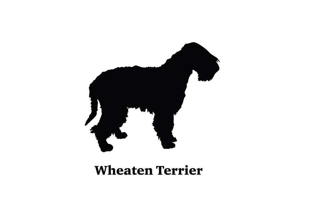 Clip Art of Wheaten Terrier Dog | Dog Clip Art Images