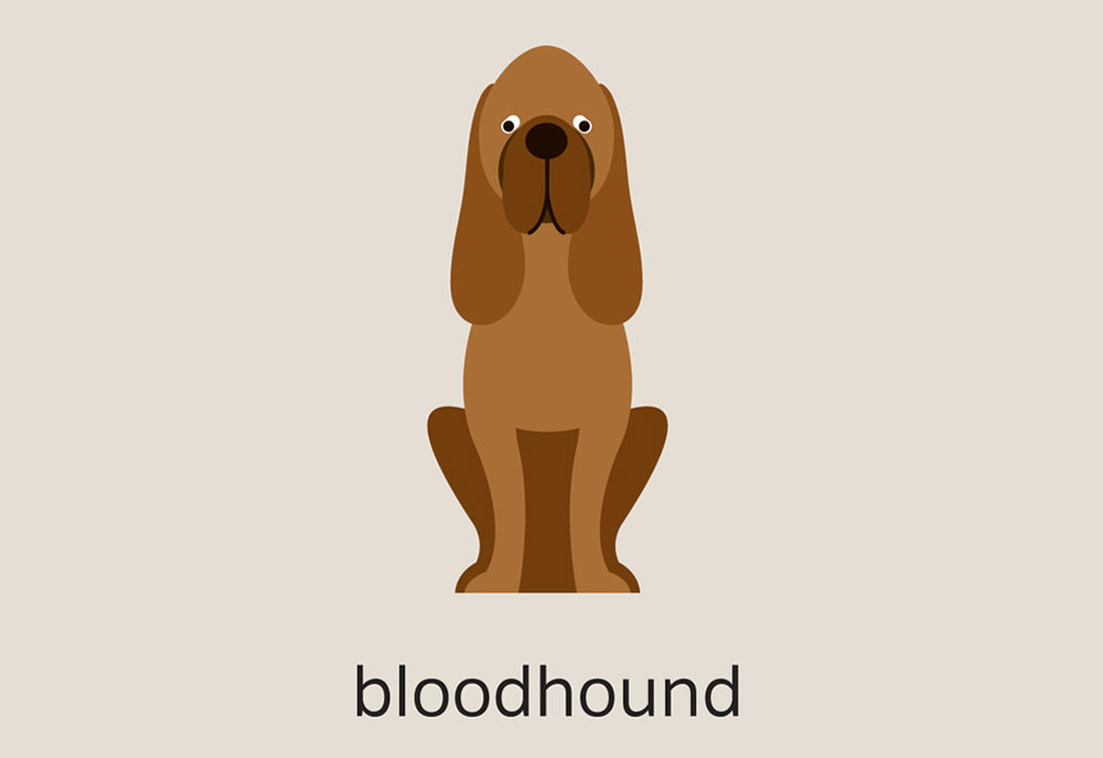 Clip Art of a Bloodhound Dog | Dog Clip Art Images