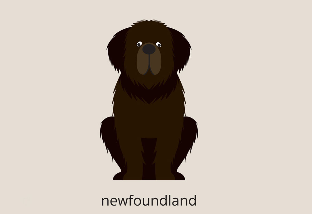 Clip Art of a Newfoundland Dog | Dog Clip Art Images