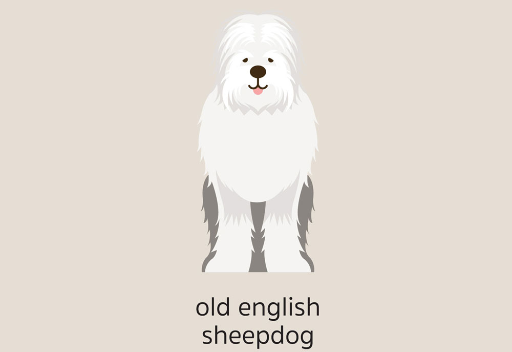 Clip Art of Old English Sheep Dog | Dog Clip Art Images