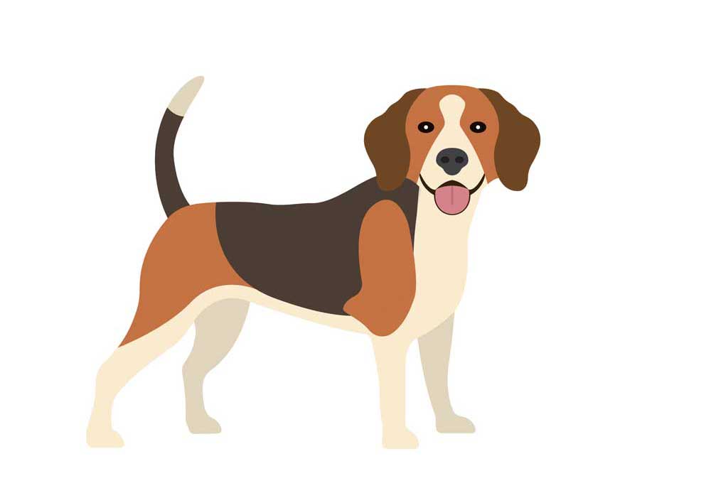 Clip Art of Beagle Dog | Dog Clip Art Images