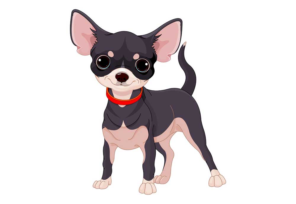 Chihuahua Dog Wearing a Red Collar Clip Art | Dog Clip Art Pictures