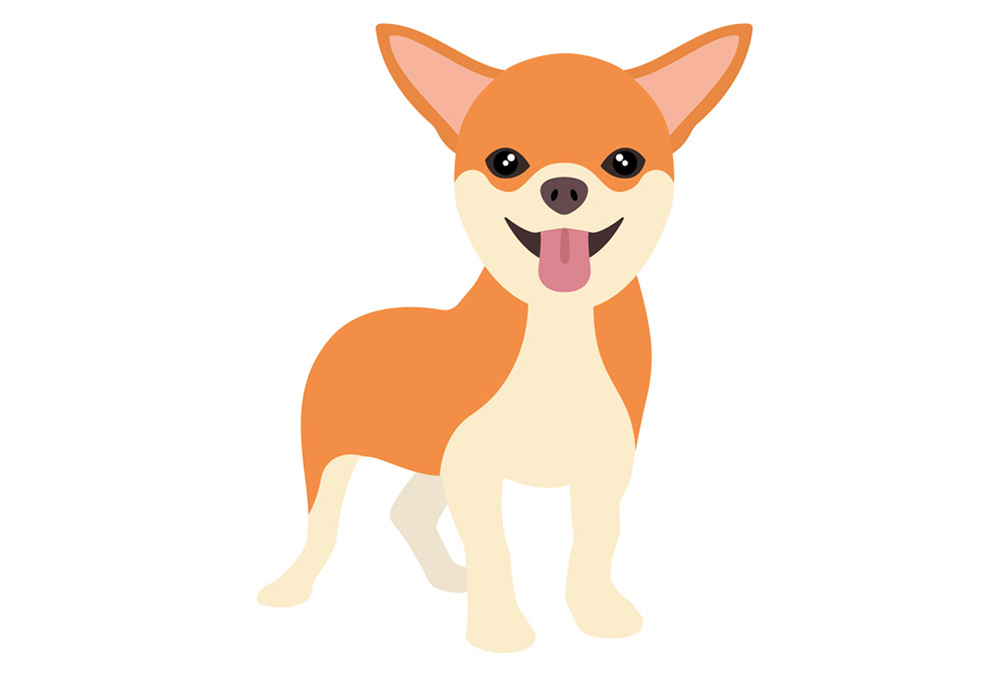 Corgi Dog Clip Art Isolated on White Background | Dog Clip Art