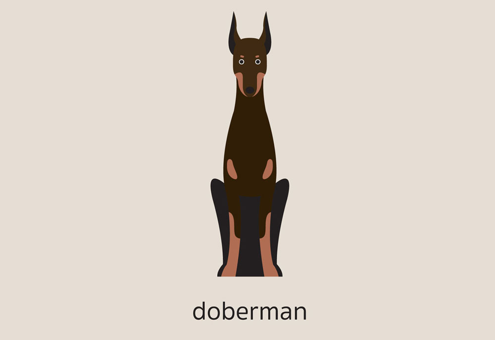 Clip Art of a Doberman Pinscher Dog | Dog Clip Art Pictures