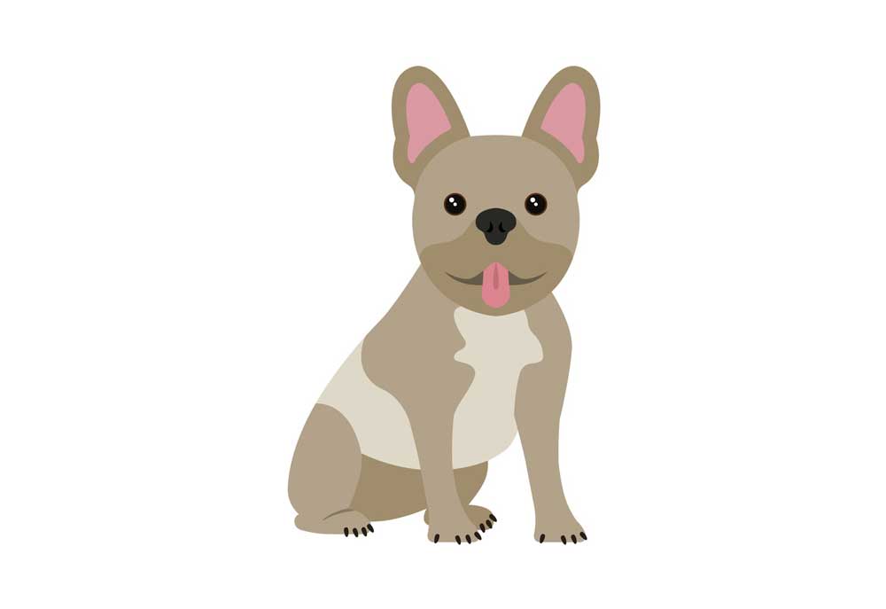 Clip Art of French Bull Dog | Dog Clip Art Pictures Images