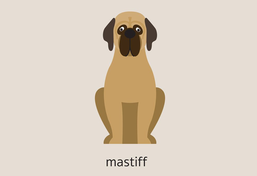 Dog Breed Clip Art of Mastiff Dog | Dog Clip Art Images