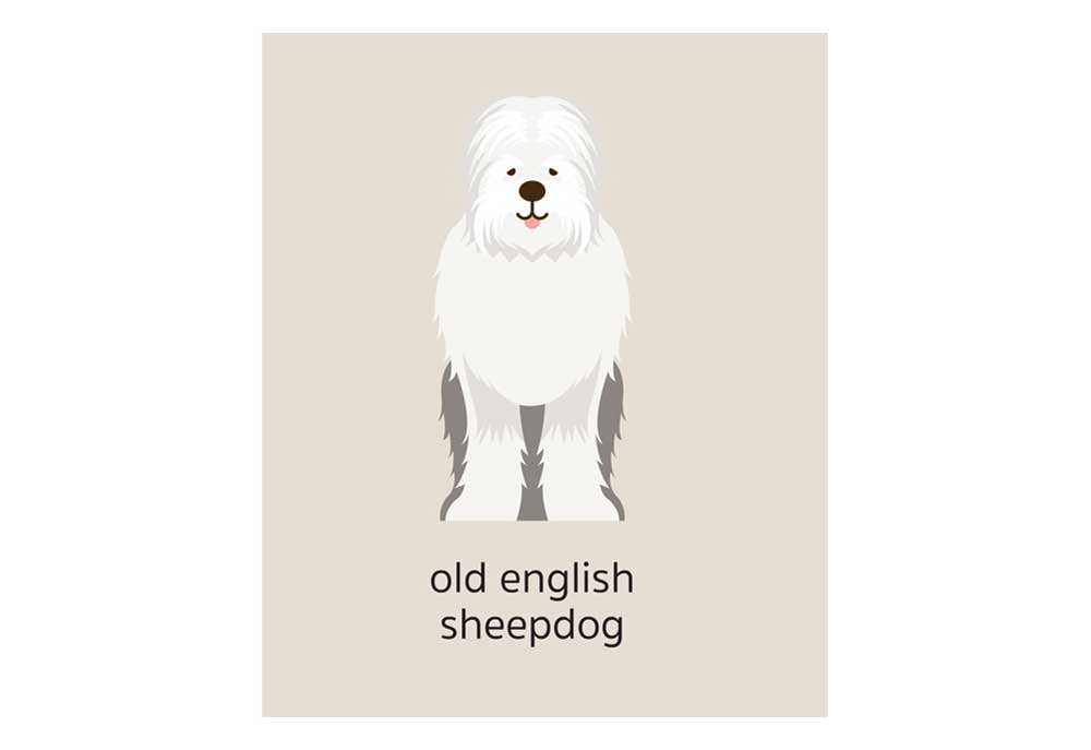 Old English Sheepdog Clip Art Image | Dog Clip Art Pictures