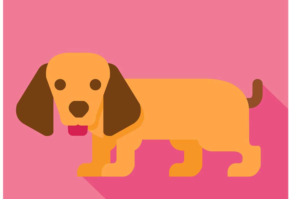 Brown Puppy Dog on a Pink Background | Clip Art of Dogs