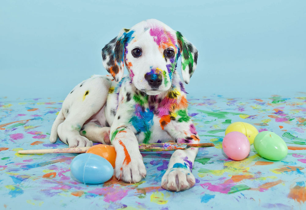 Picture of Colorful Dalmatian Easter Puppy Dog