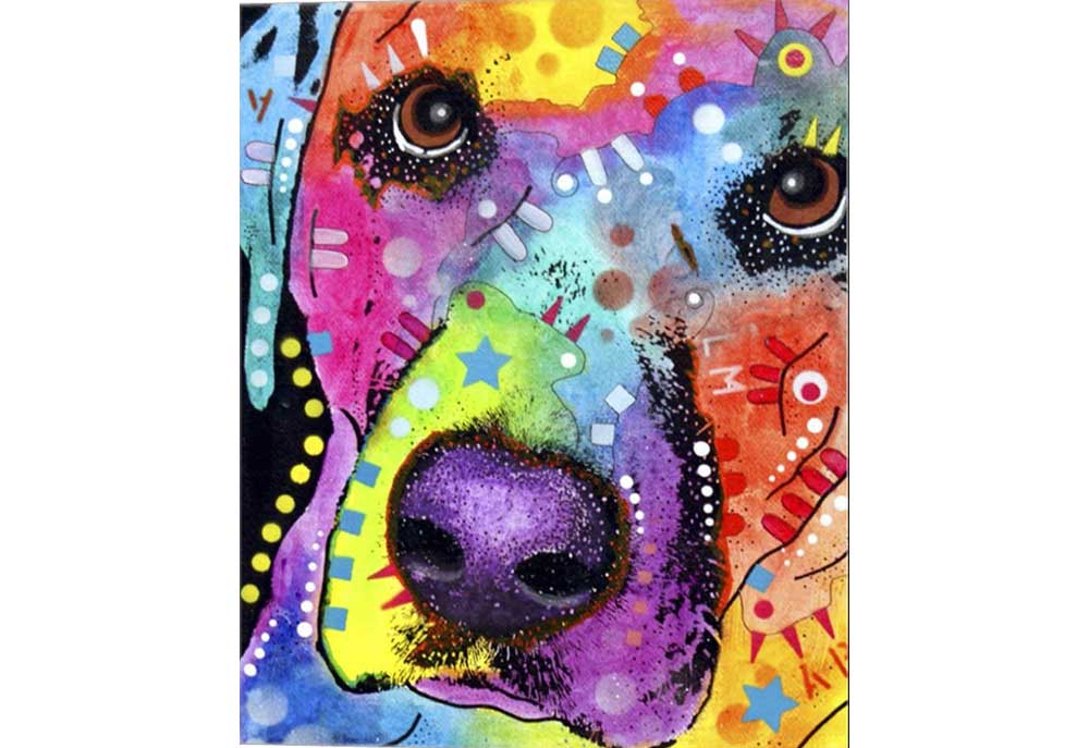 Dean Russo Art Print Colorful Labrador Closeup | Dog Posters Prints Images