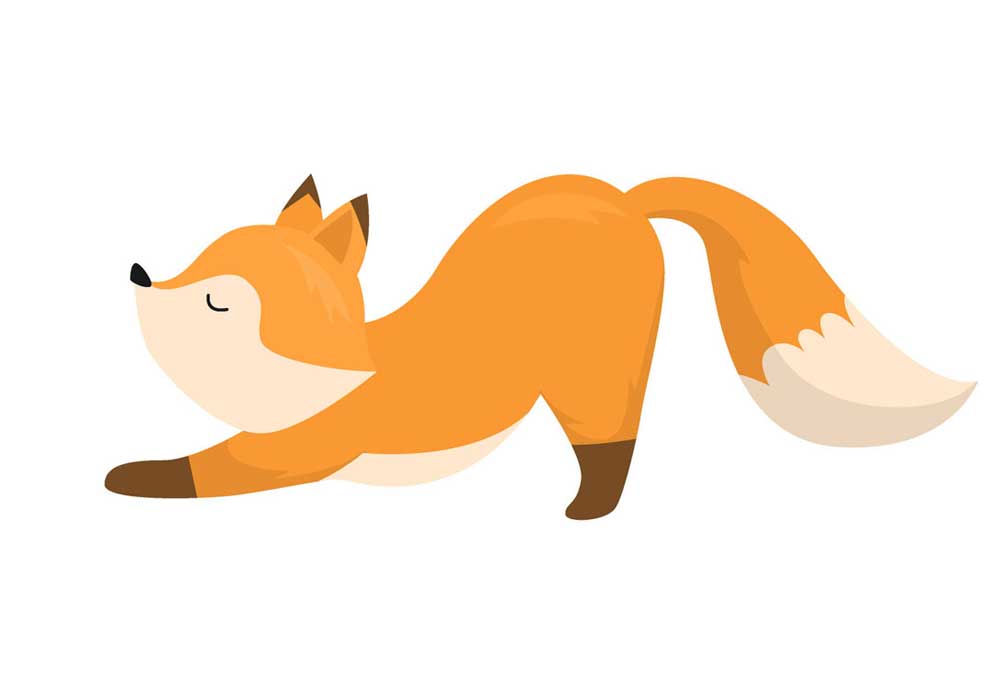 Cute Red Fox Stretching Clip Art Isolated on White Background | Dog Clip Art Pictures