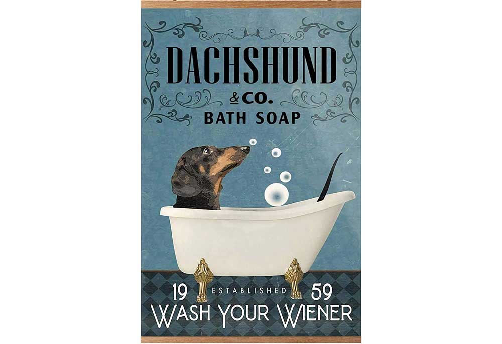 Dachshund & Co. Bath Soap Poster | Dog Posters Art Prints