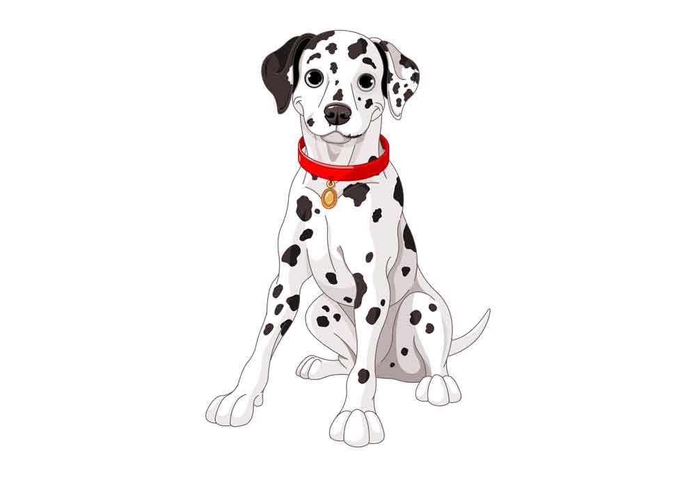 Clip Art of Sitting Dalmation Dog | Dog Clip Art Images