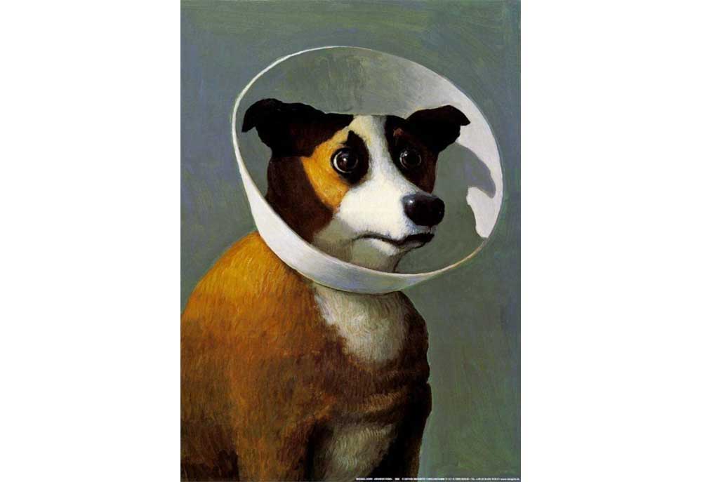 Dog Art Print 'Filmhound' Michael Sowa | Dog Posters Art Prints
