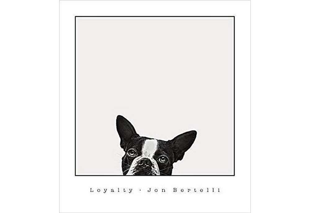 Boston Terrier Motivational Art Print 'Loyalty' | Art Prints of Dogs
