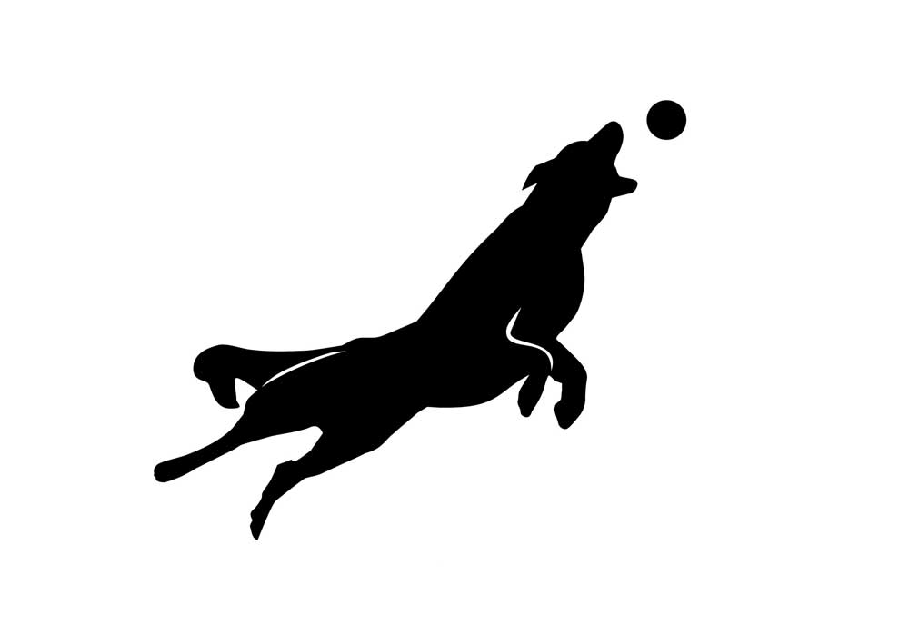 Clip Art of Dog Catching a Ball Silhouette | Clip Art of Dogs
