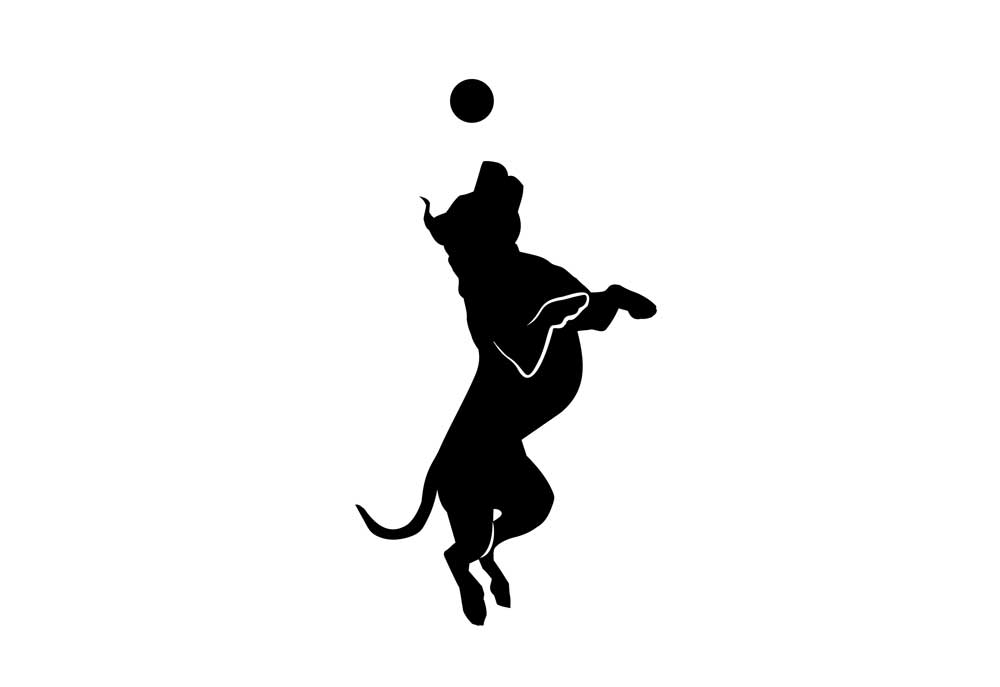 Silhouette of Dog Catching a Ball | Dog Clip Art Images